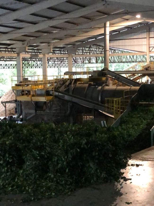 Equipamentos da linha de produção da Ervateira Sabadin